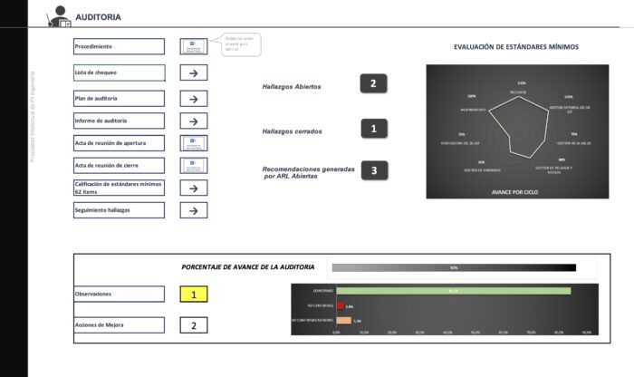 Programa de auditoria SST